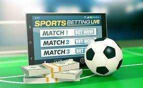 Experience the Thrill of Live Betting with Baji Live -2093137294 Experience the Thrill of Live Betting with Baji Live -2093137294